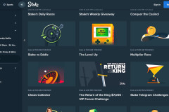 Stake Casino Review
