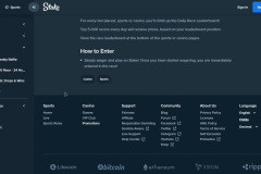 Stake Casino Review