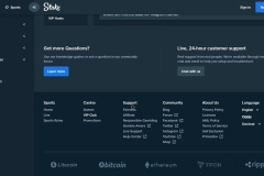 Stake Casino Review