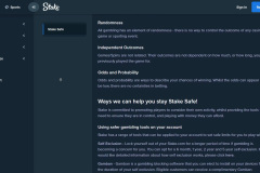 Stake Casino Review