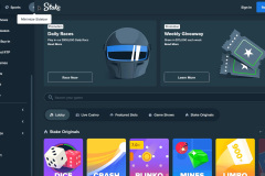 Stake Casino Review