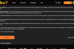 Stake 7 Casino Review
