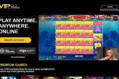 VIP Stakes Casino Review
